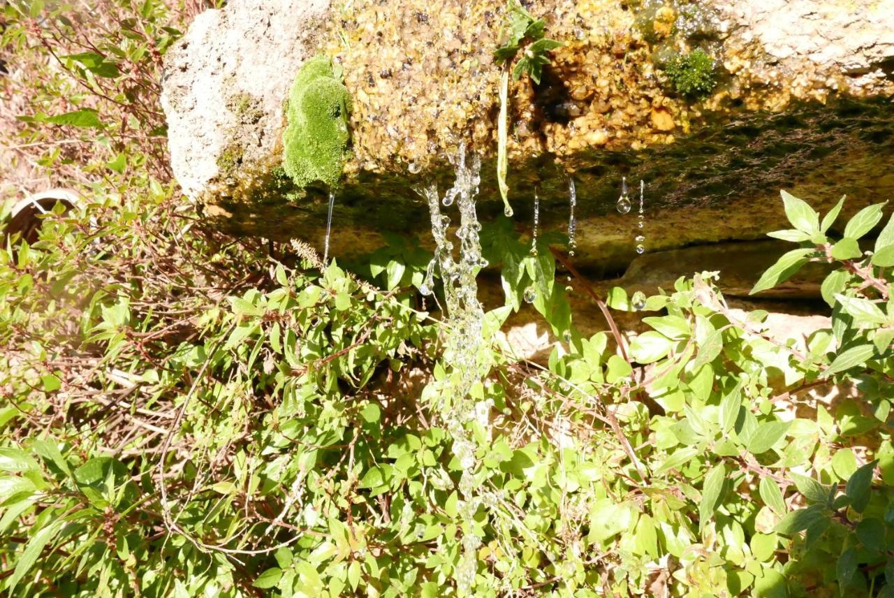 Casa Do Meio Em Quinta De Sao Pedro De Vir-A-Corca Pension Monsanto Buitenkant foto