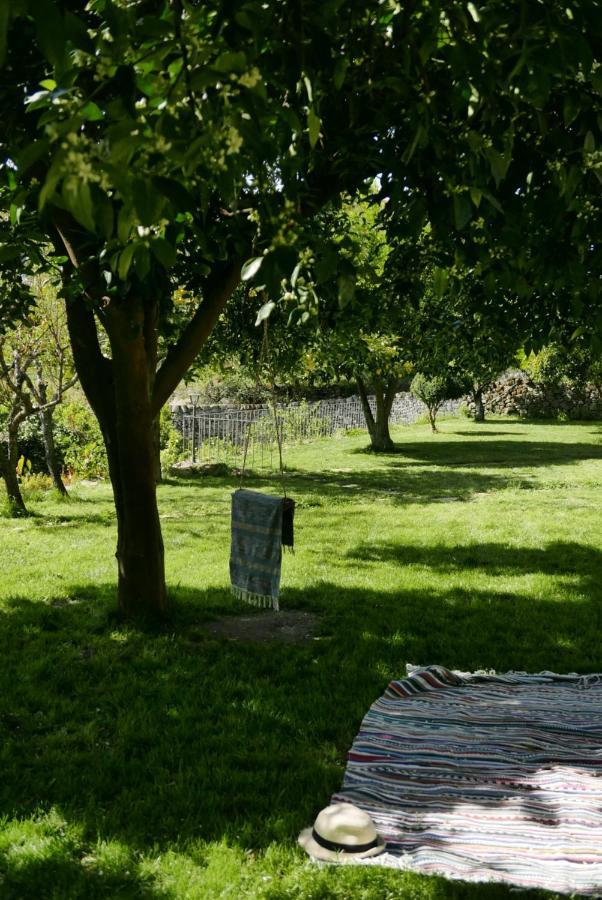 Casa Do Meio Em Quinta De Sao Pedro De Vir-A-Corca Pension Monsanto Buitenkant foto