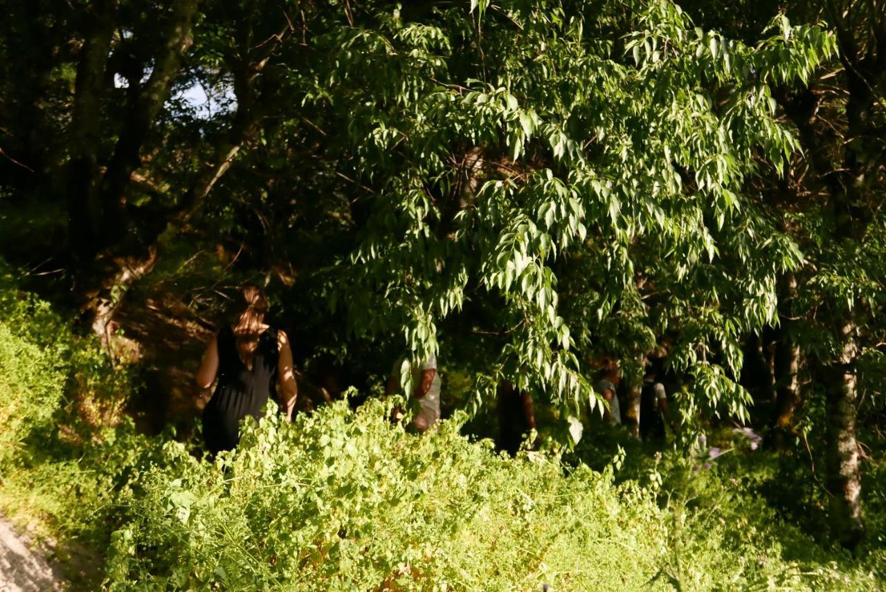 Casa Do Meio Em Quinta De Sao Pedro De Vir-A-Corca Pension Monsanto Buitenkant foto