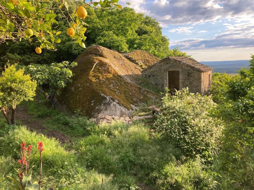 Casa Do Meio Em Quinta De Sao Pedro De Vir-A-Corca Pension Monsanto Buitenkant foto