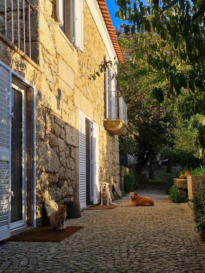 Casa Do Meio Em Quinta De Sao Pedro De Vir-A-Corca Pension Monsanto Buitenkant foto