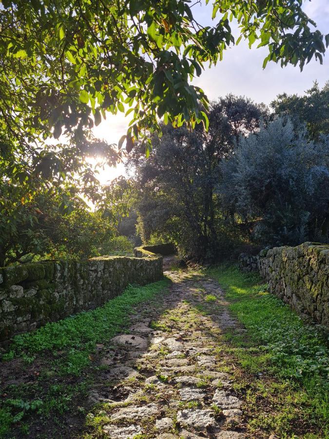 Casa Do Meio Em Quinta De Sao Pedro De Vir-A-Corca Pension Monsanto Buitenkant foto